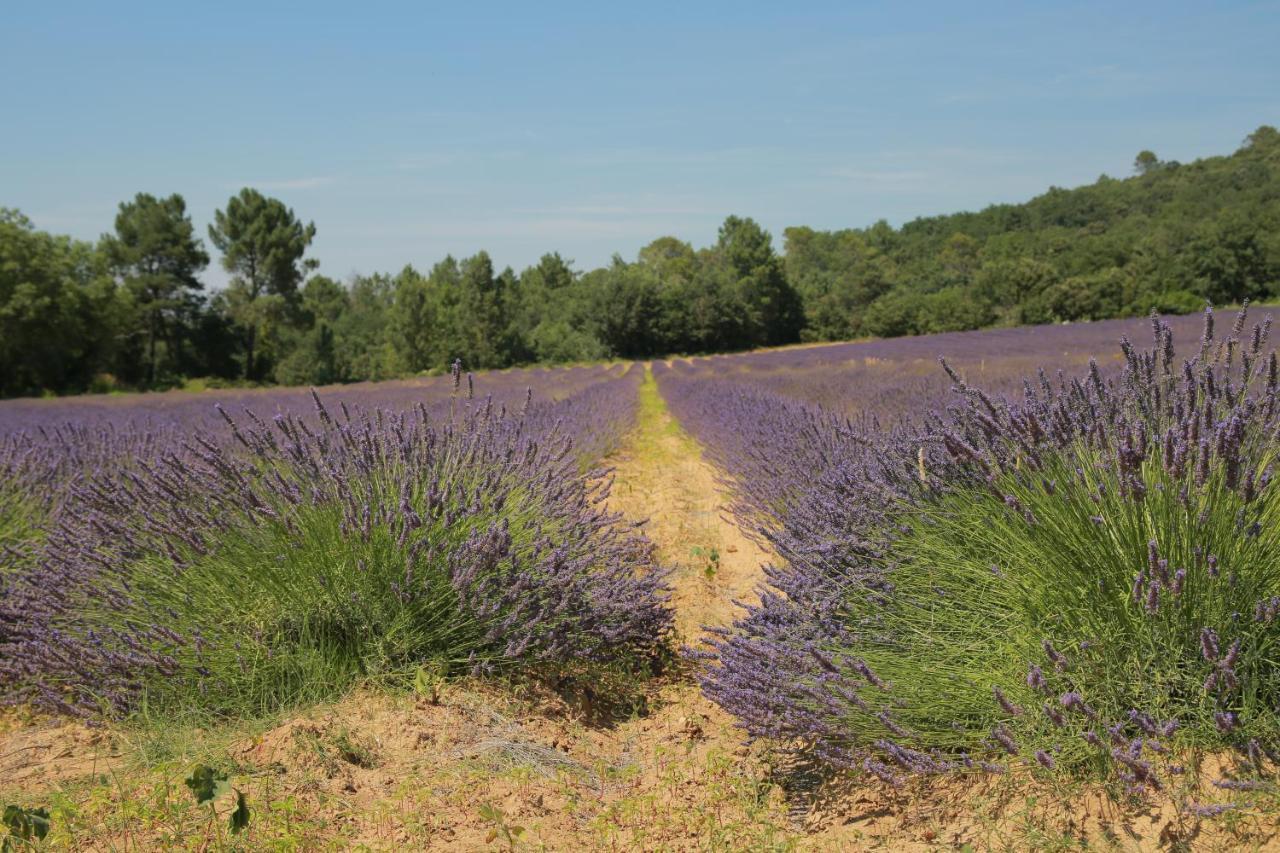 Les Yourtes De Provence Bed & Breakfast Saint-Paulet-de-Caisson Екстериор снимка